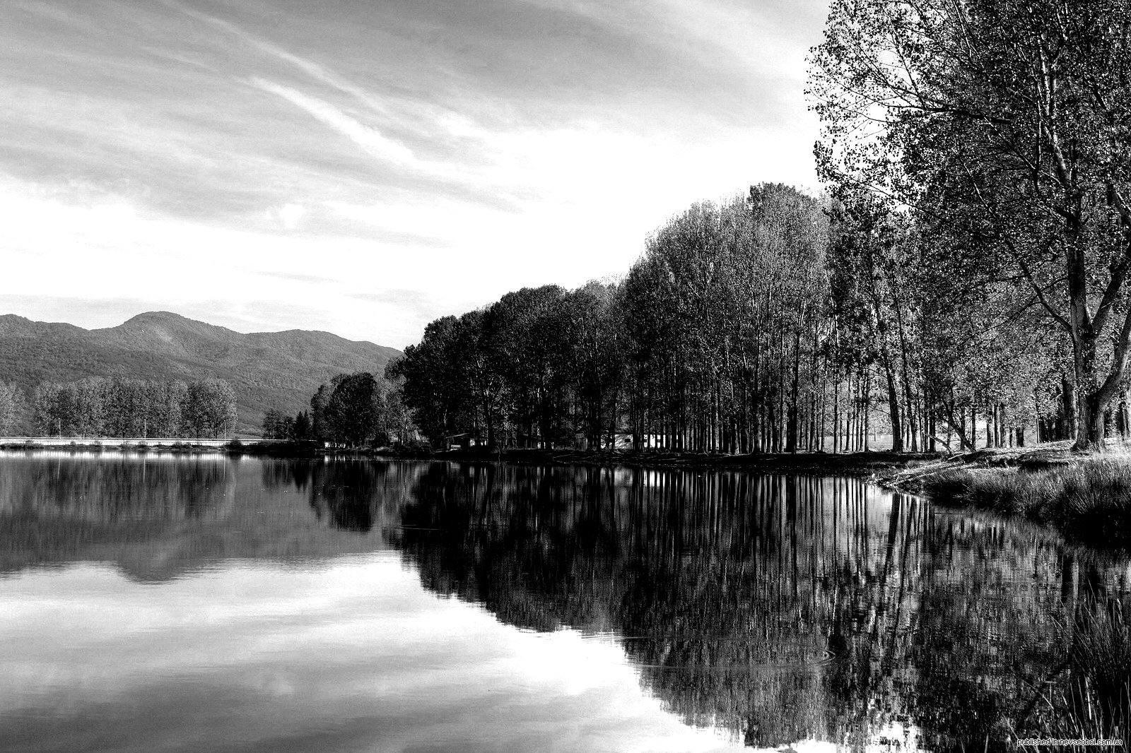 Река Черно Белое Фото