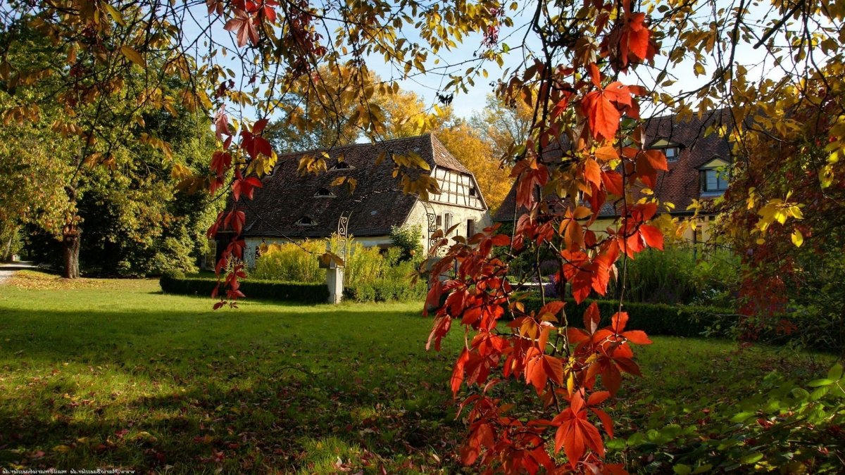 Осенняя Дача Фото