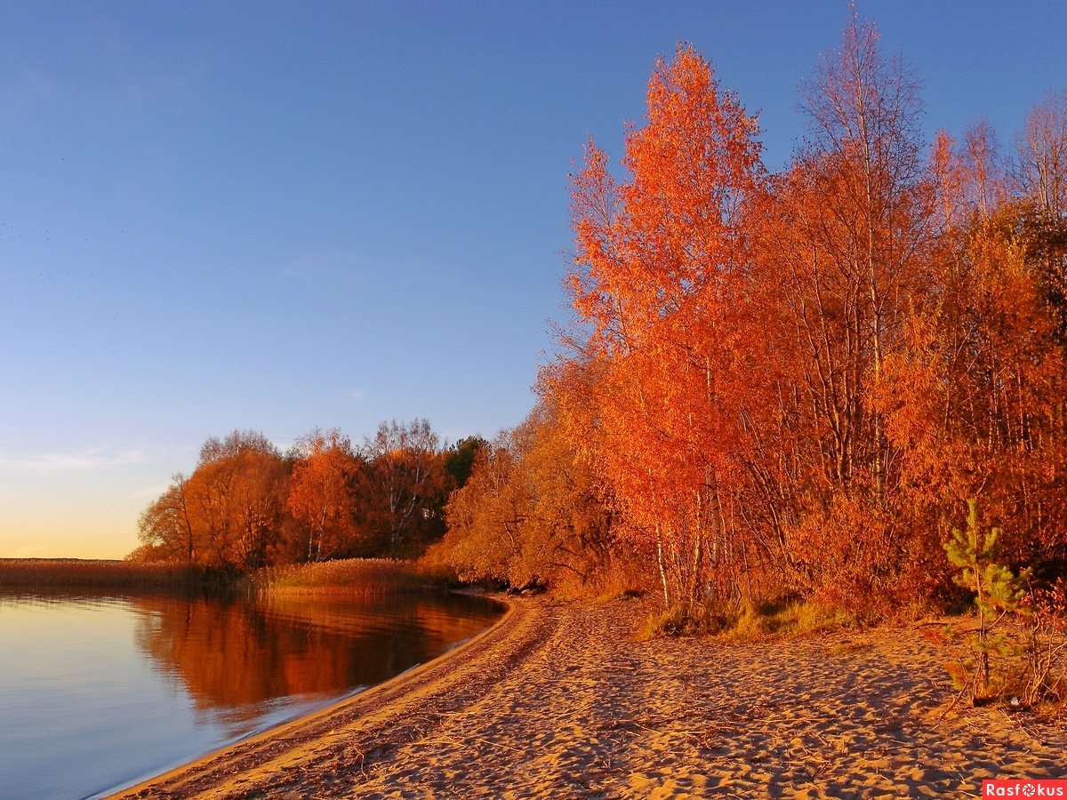 Озеро красавица осень