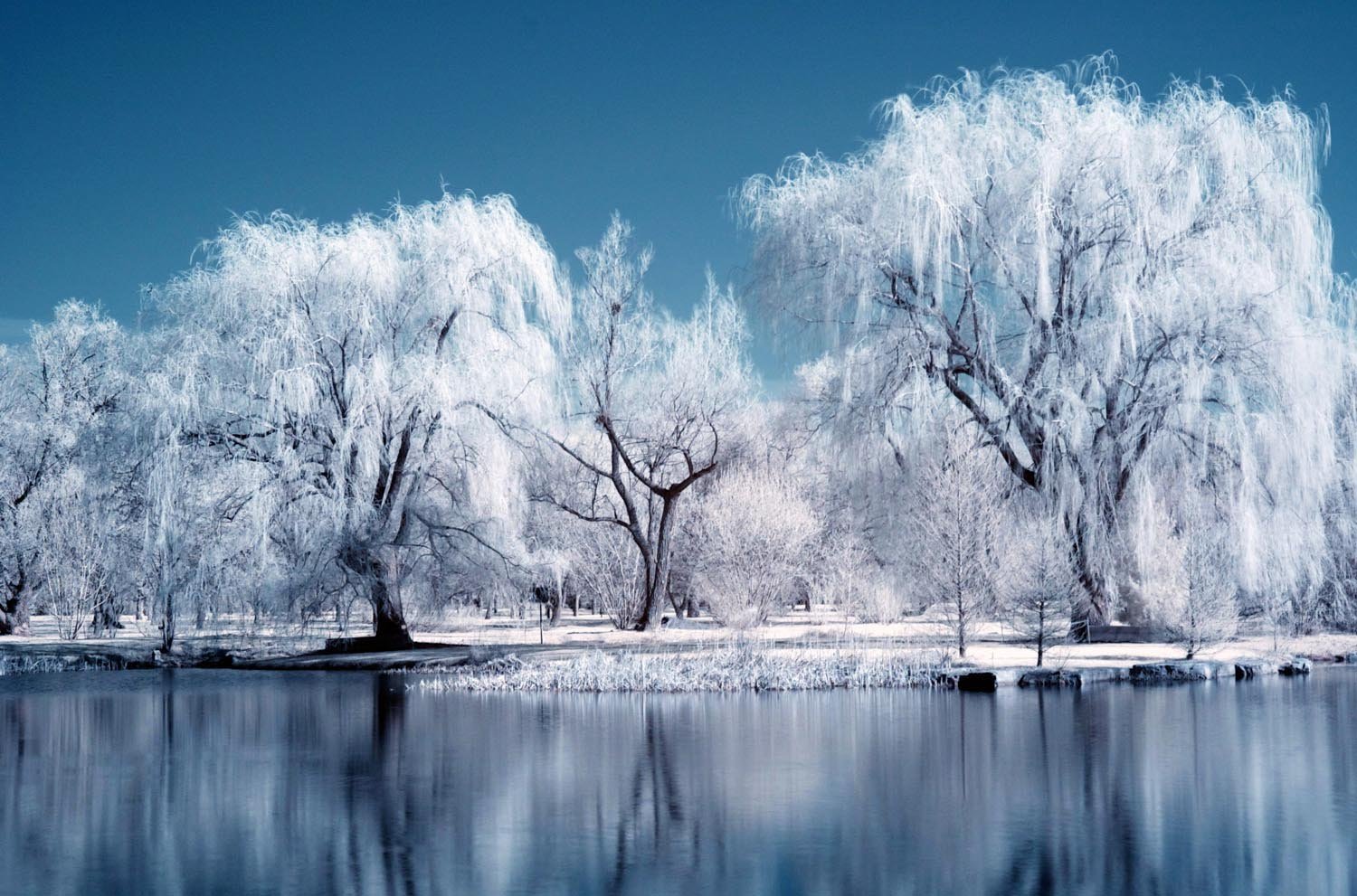 Природа зима красота. Зимняя красота. Красота зимой. Красота зимы фото. Зимняя красота зимы.