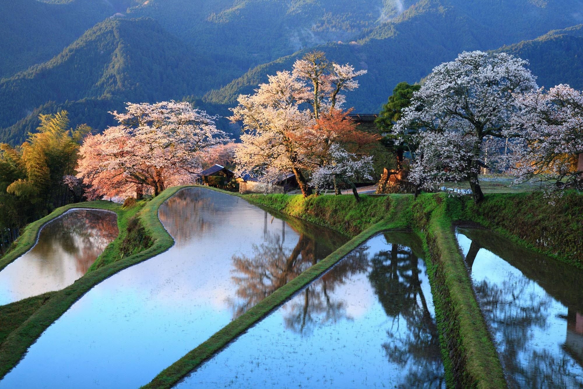 Красивые места в японии фото