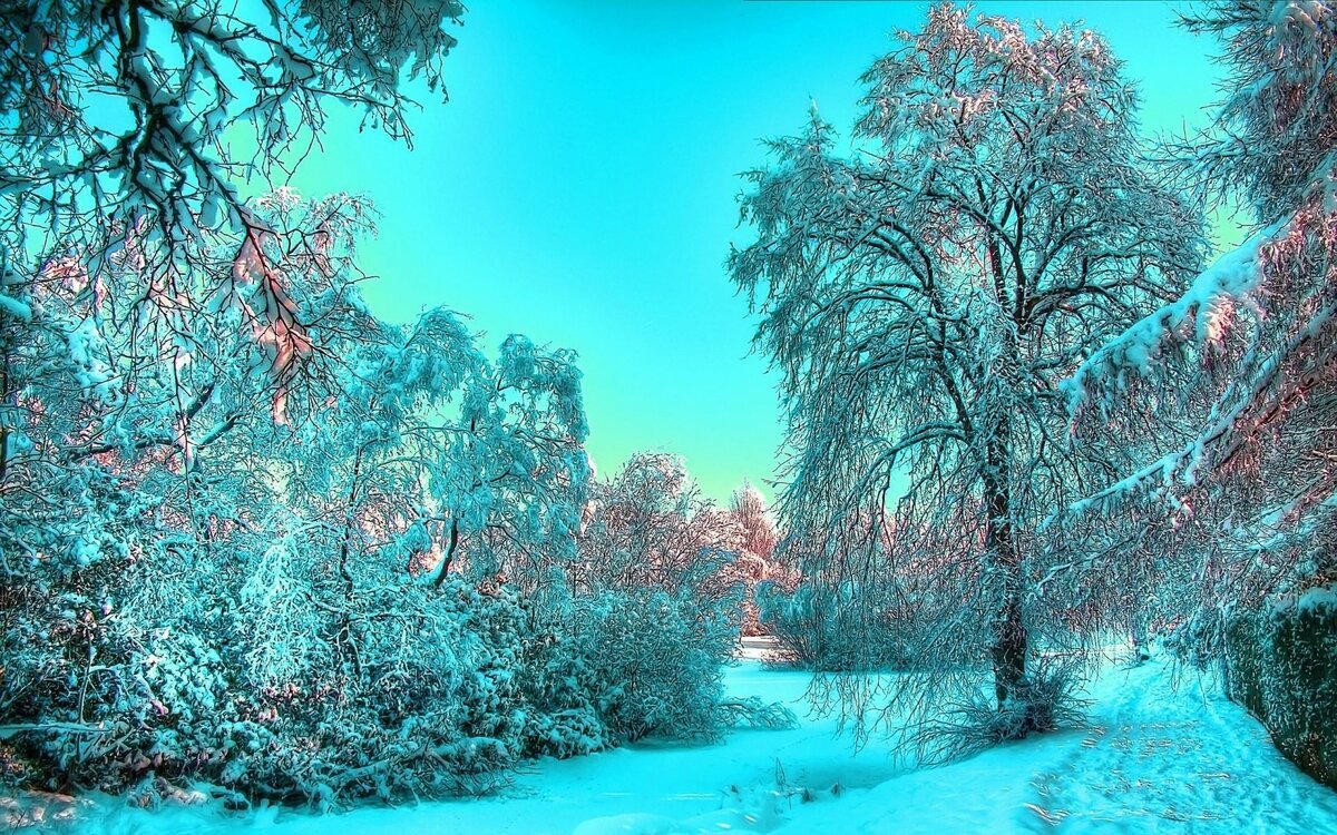Волшебная зима