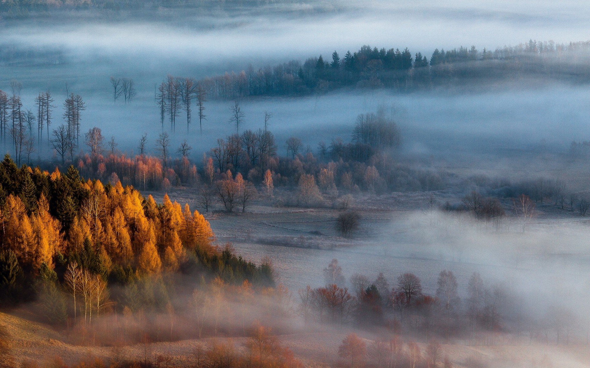 Картинки туманов. Осень туман. Осенний туман. Туман осенью. Туманный пейзаж.