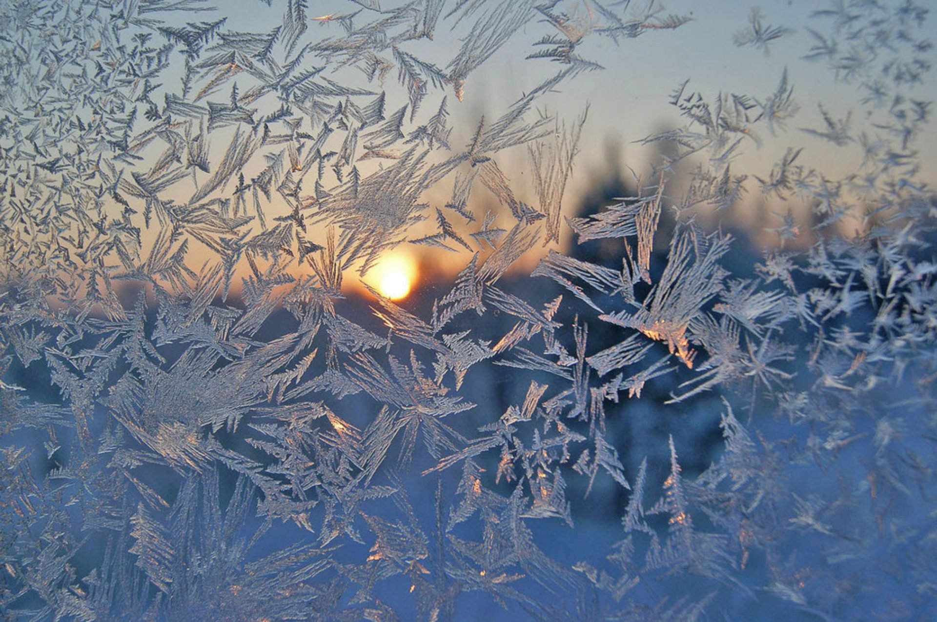Сильный утренний мороз. Морозное окно. Морозные узоры. Зимнее окно. Морозные узоры на стекле.