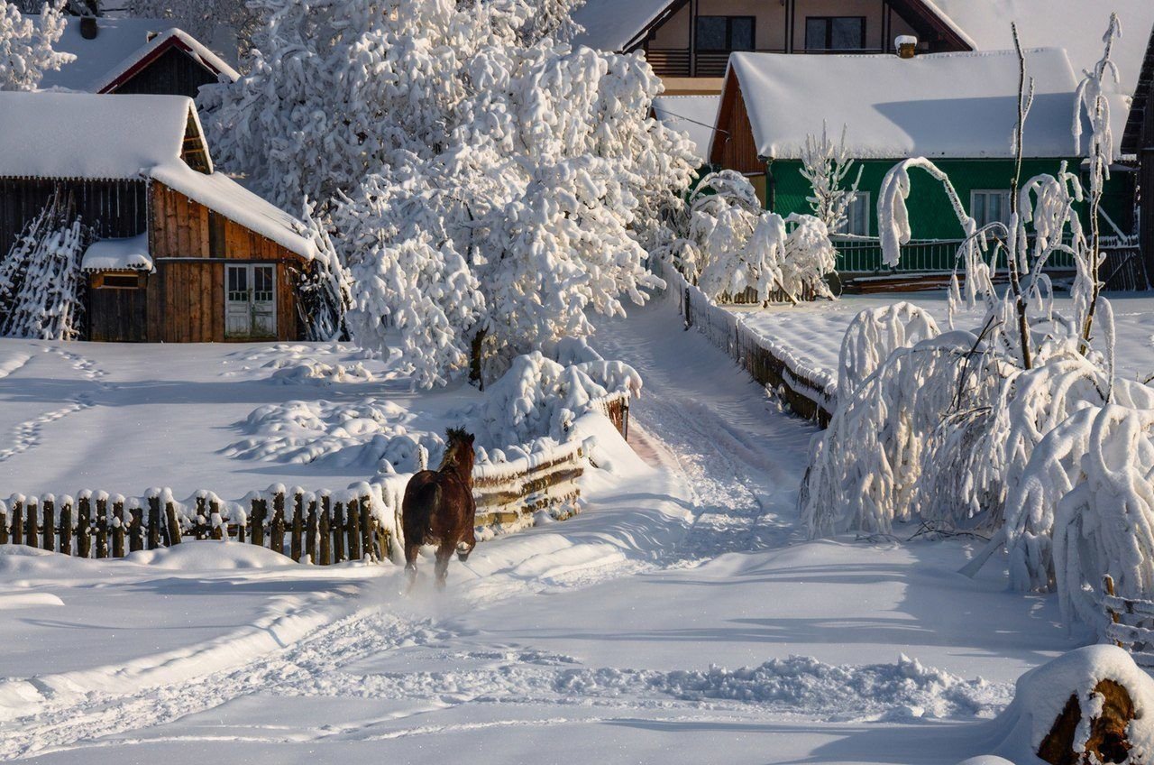 Деревенский Дом Зимой Фото