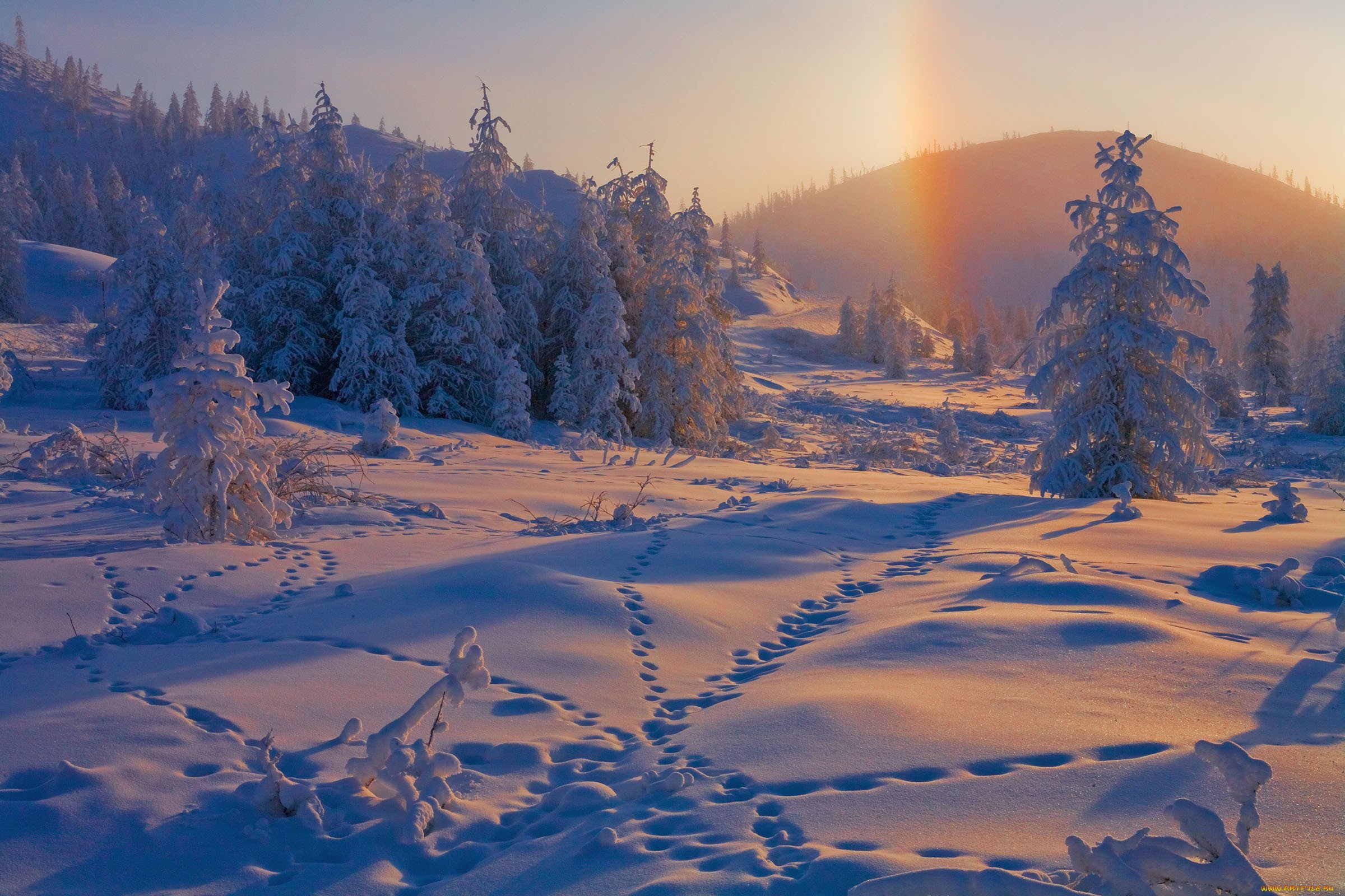Географическая зима. Зимняя Радуга гало. Зимняя природа. Зима пейзаж. Якутский зимний пейзаж.