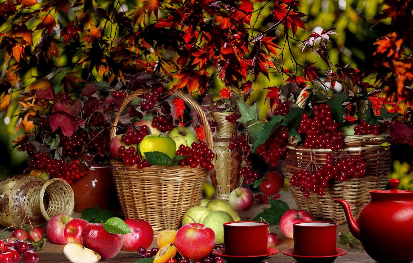 Осенний фруктовый сад - 56 фото