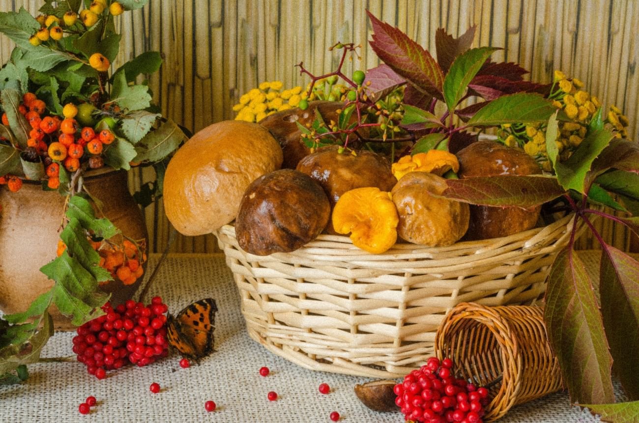 Лето грибами осень плодами. Дары осени. Осенние дары. Корзинка с дарами осени. Осень дары природы.