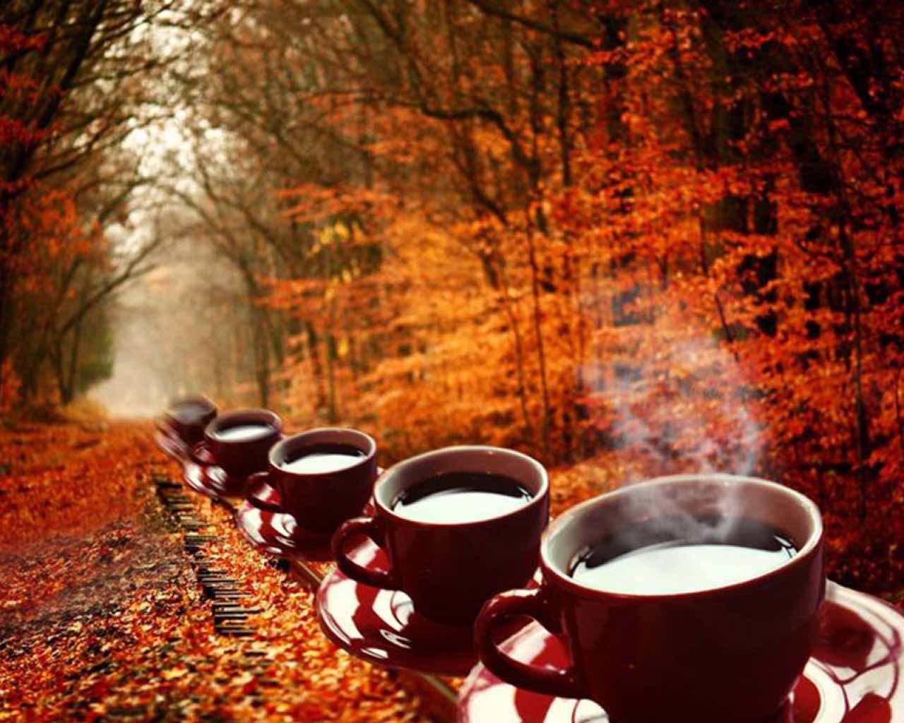 Осенний Кофе Фото На Природе