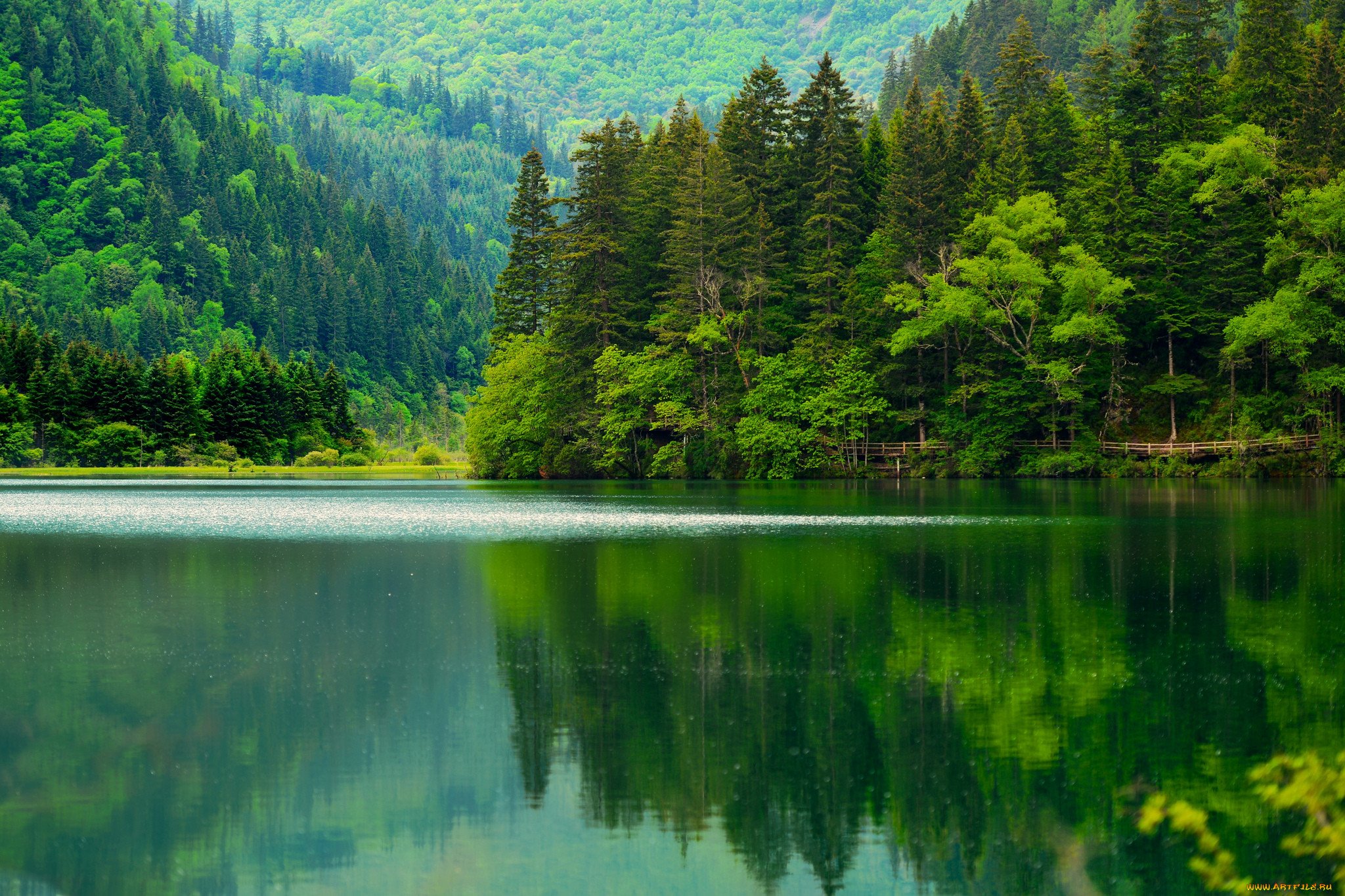 Картинка красивое озеро. Озеро Рица. Зеленое озеро Аджария. Озеро Гейгель Азербайджан. Хадыженское Лесное озеро.