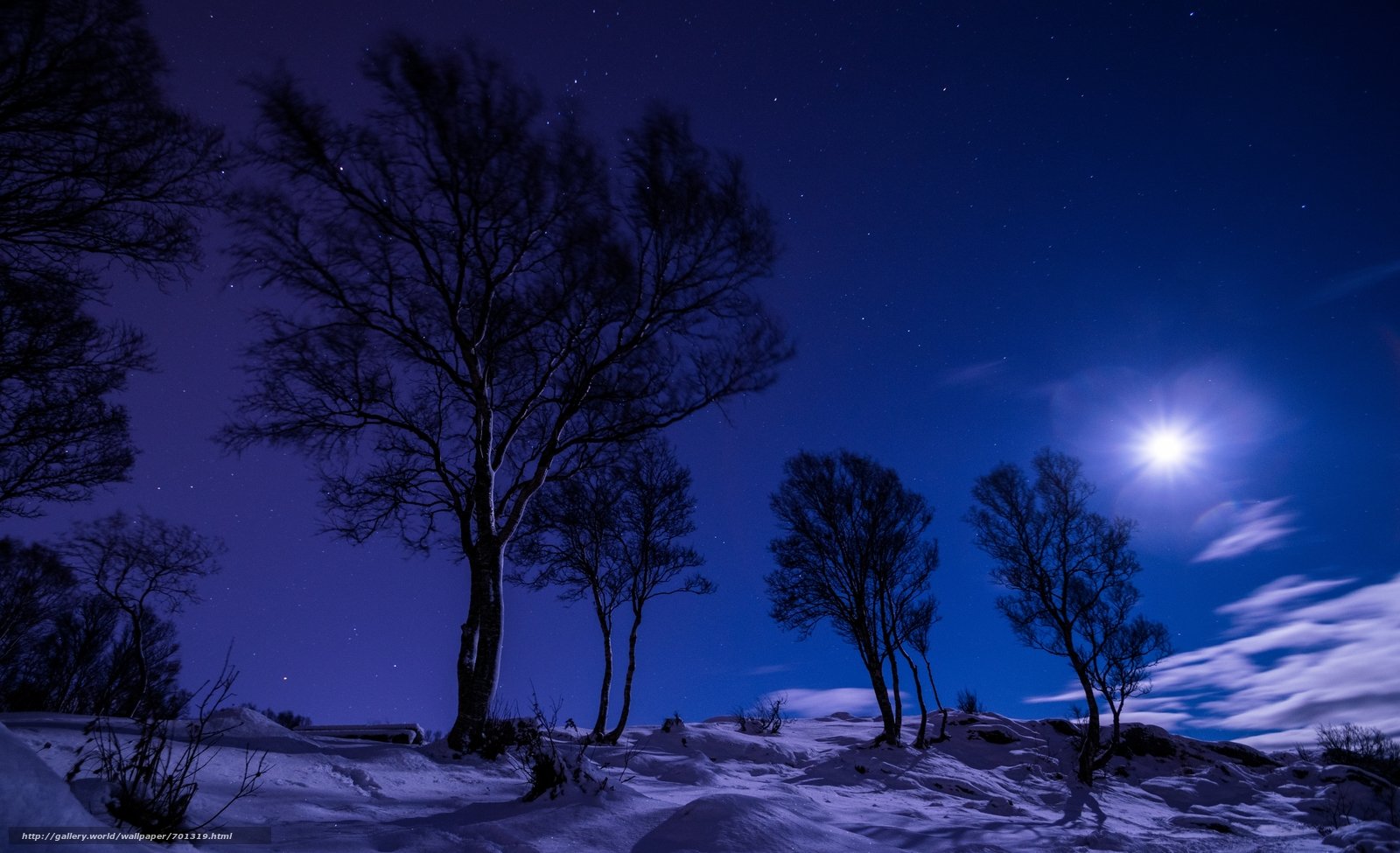 Луна зимой ночью