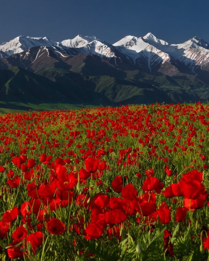 Пейзаж Кыргызстана