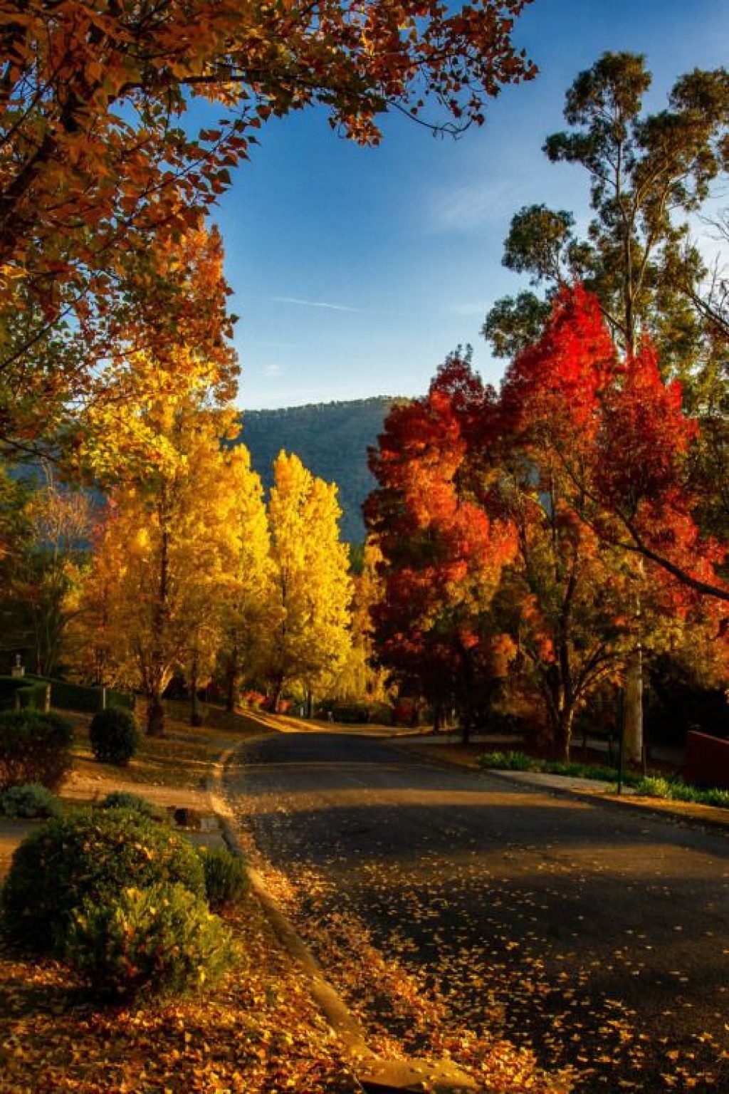Осенняя красота природы - красивые фото