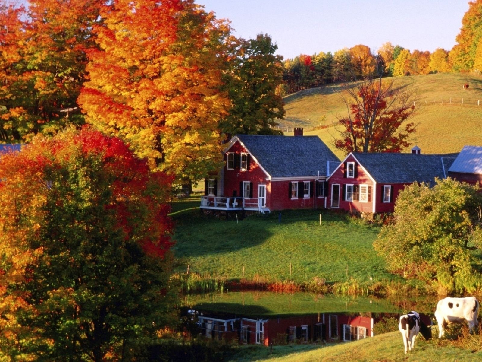 Золотая осень в деревне - красивые фото