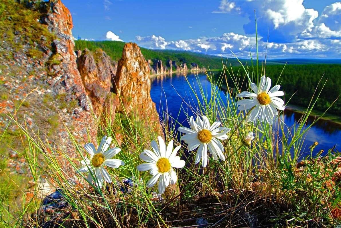 Почему природа уникальна. Природа России. Красота природы. Природа летом. Красивое лето.