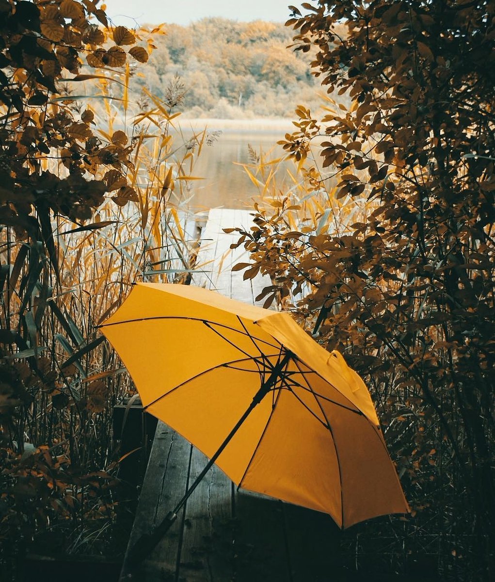 Дождь зонтик