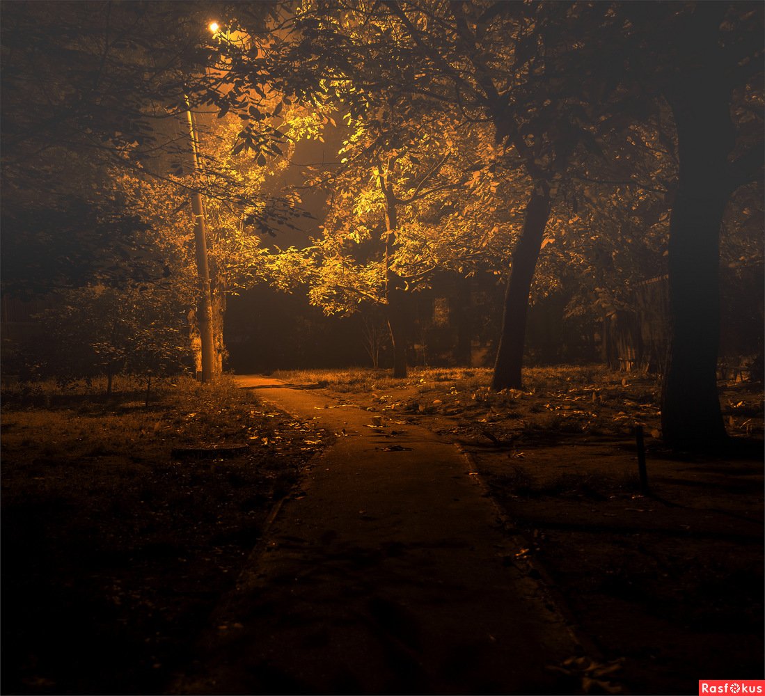 Темным осенним вечером. Осенняя ночь. Осень вечер. Осенний вечер. Осенний лес вечером.