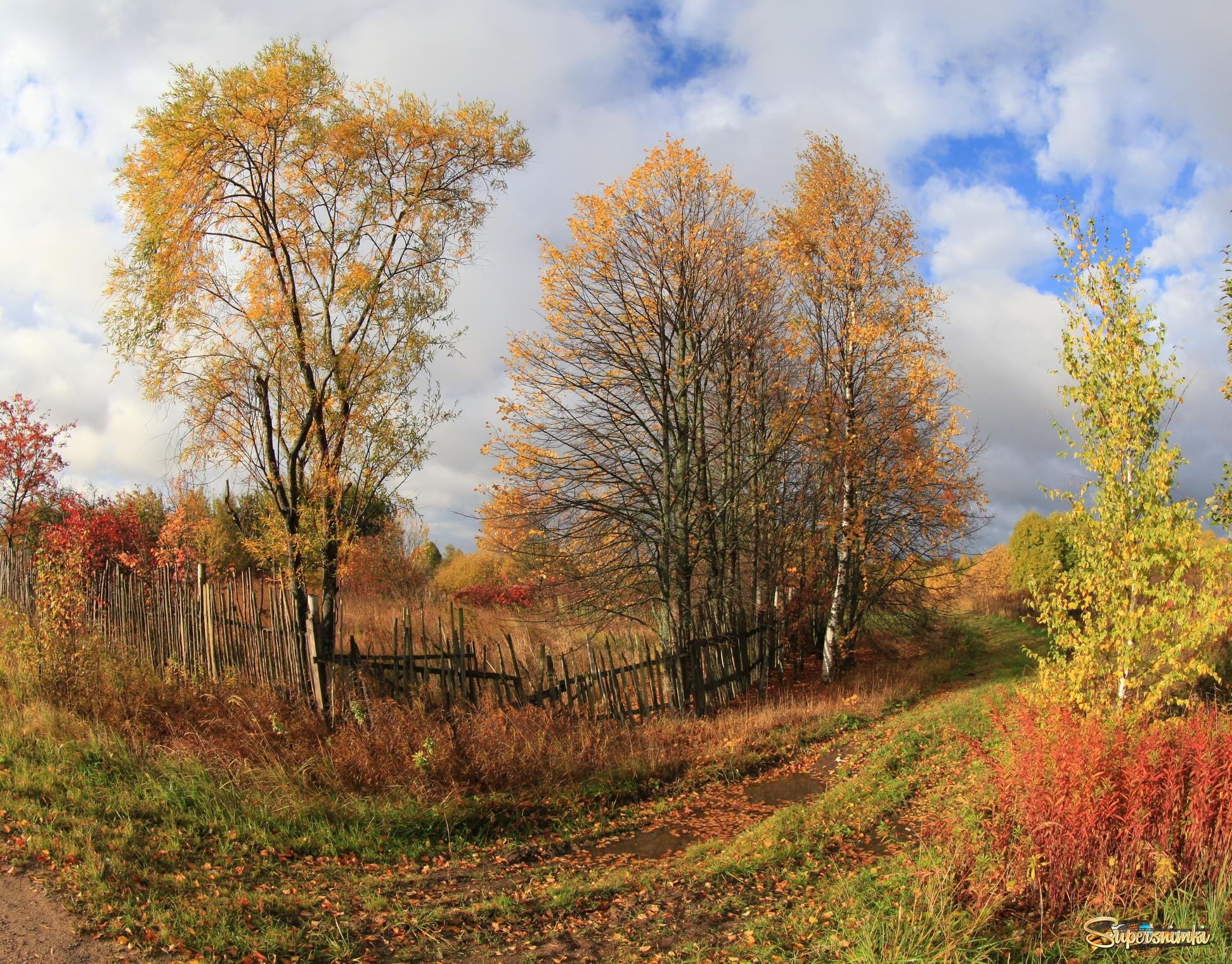 Осенний пейзаж. Осень в деревне. Деревня осенью. Осень в селе.