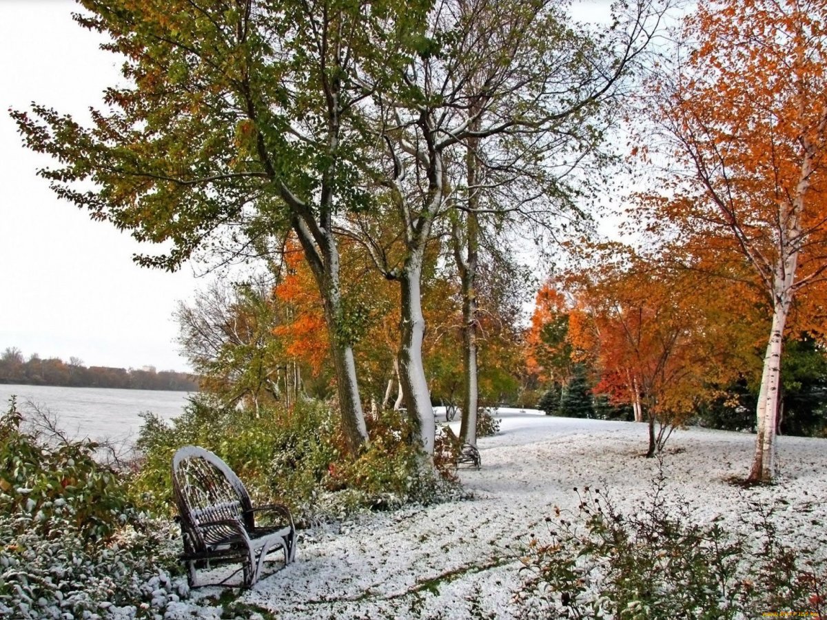 Ранняя зима в парке