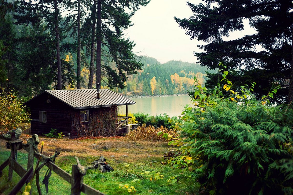 Домик на берегу озера в лесу