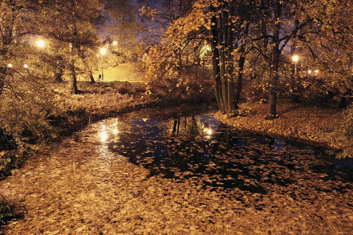 Поздним ненастным вечером геологи. Осенний вечер. Осень вечер. Осень дождь. Дождливый осенний вечер.