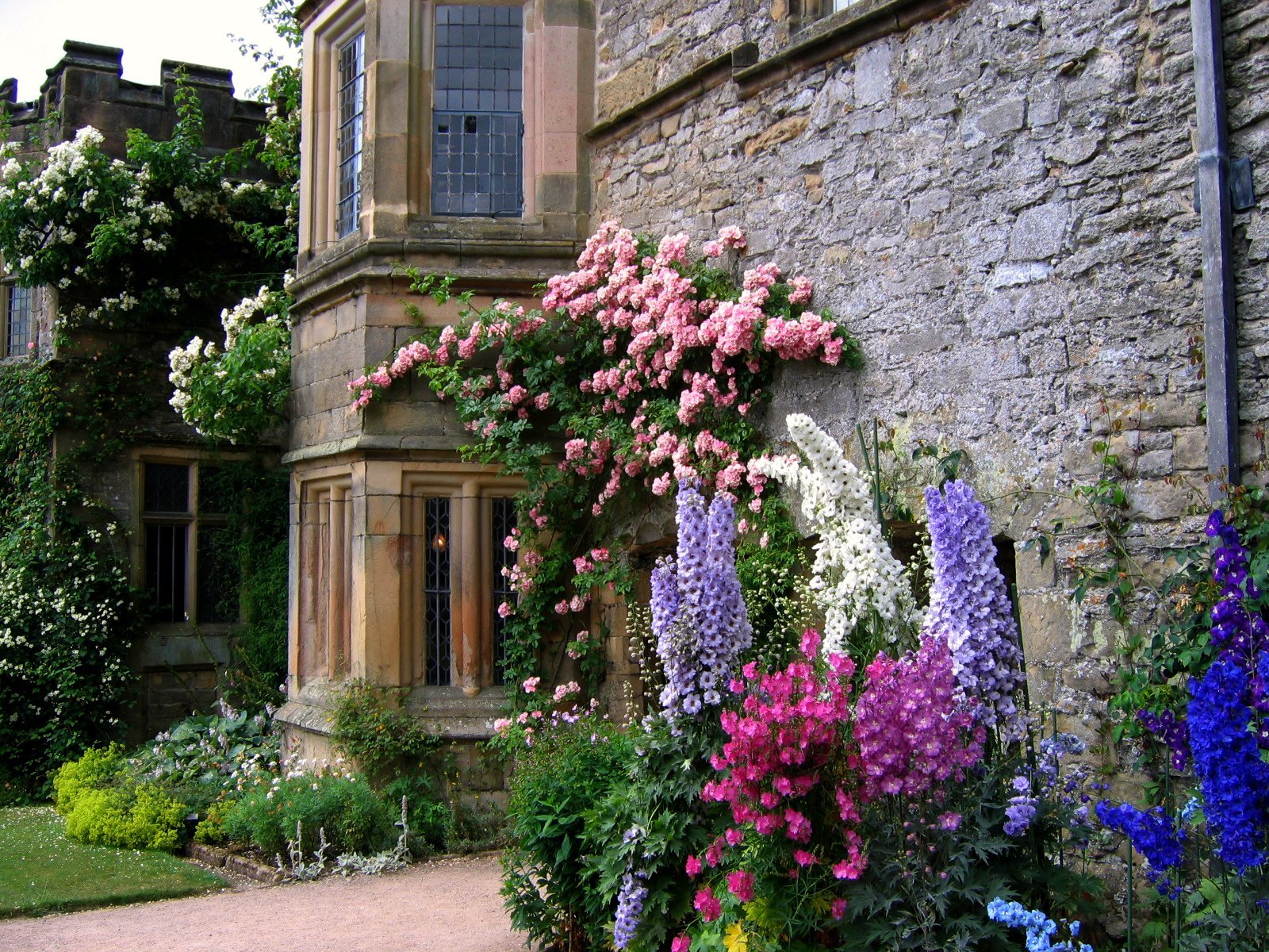 Цветок британии. Палисадники в Англии. Моттистоун английское поместье сад розы. Поместье в Англии Хэддон Холл. Прованские сады в Италии.