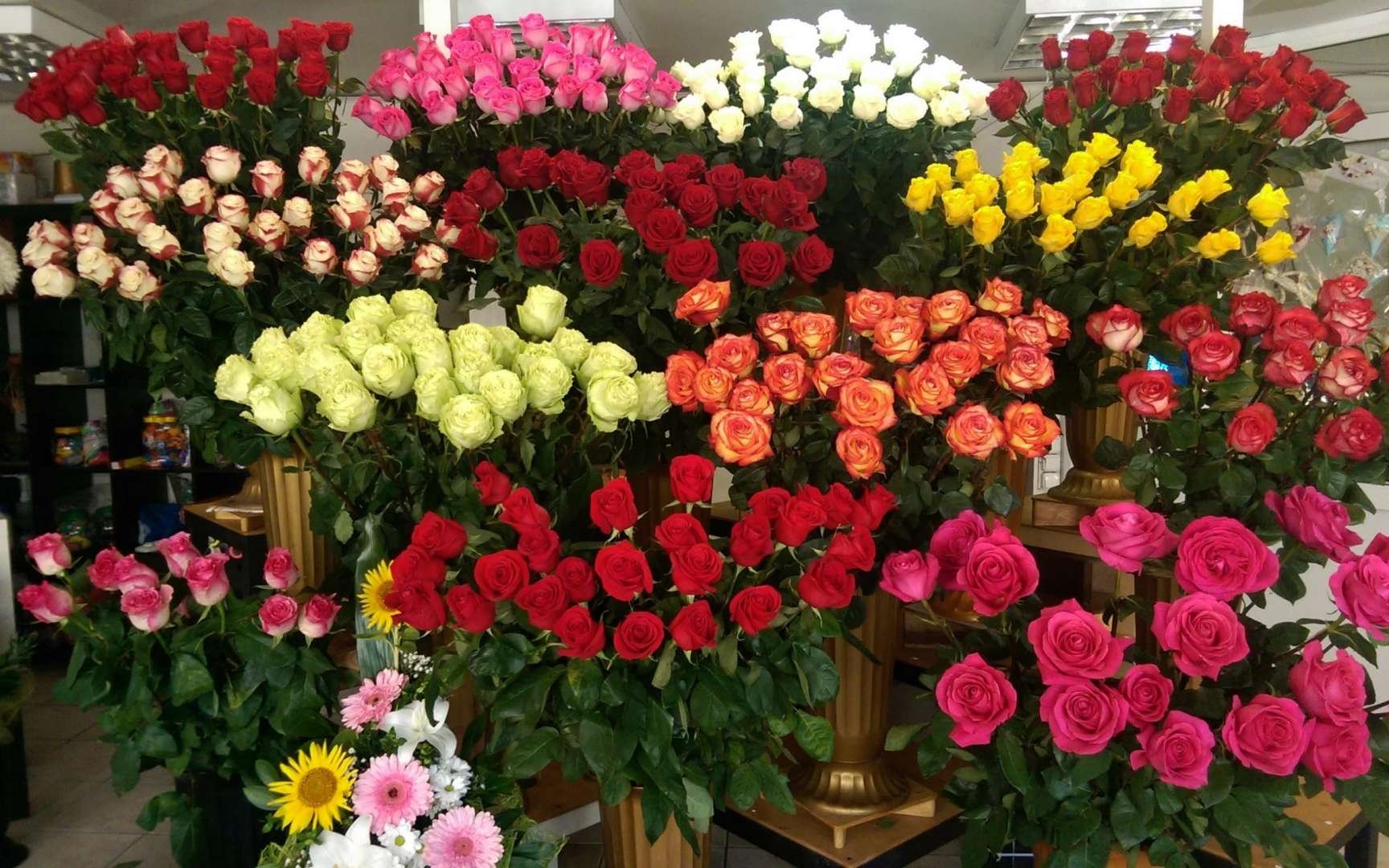 Купить розы в цветочном магазине. Свежесрезанные цветы. Много букетов цветов. Розы в цветочном магазине. Цветы много букетов.