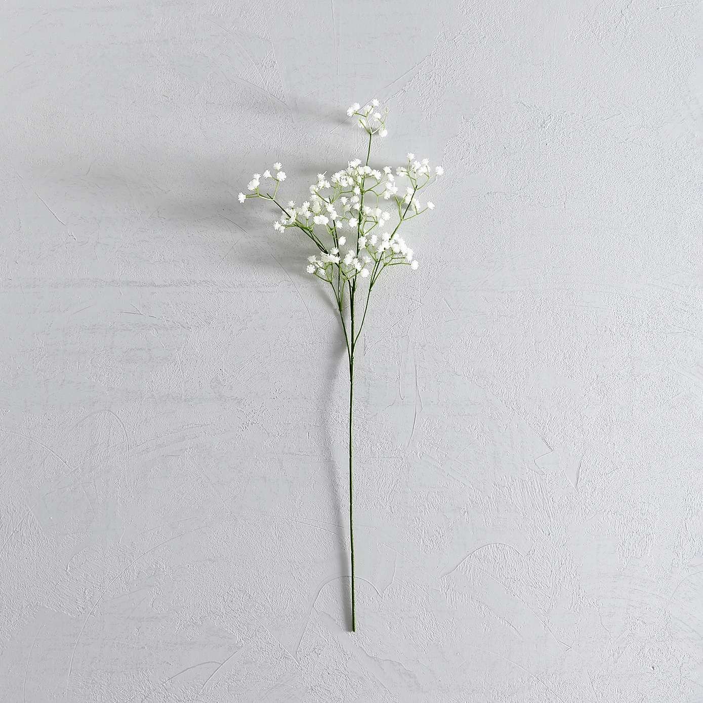 Одна ветка гипсофилы флорист на свадьбу в москве недорого