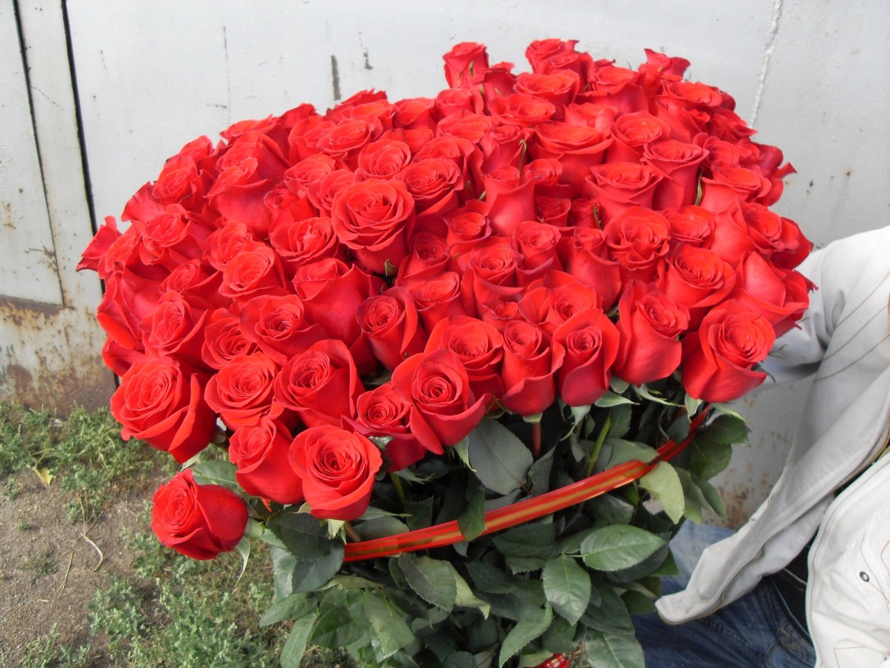Купить розы в ставрополе. Букет роз. Шикарный букет роз. Огромный букет цветов.