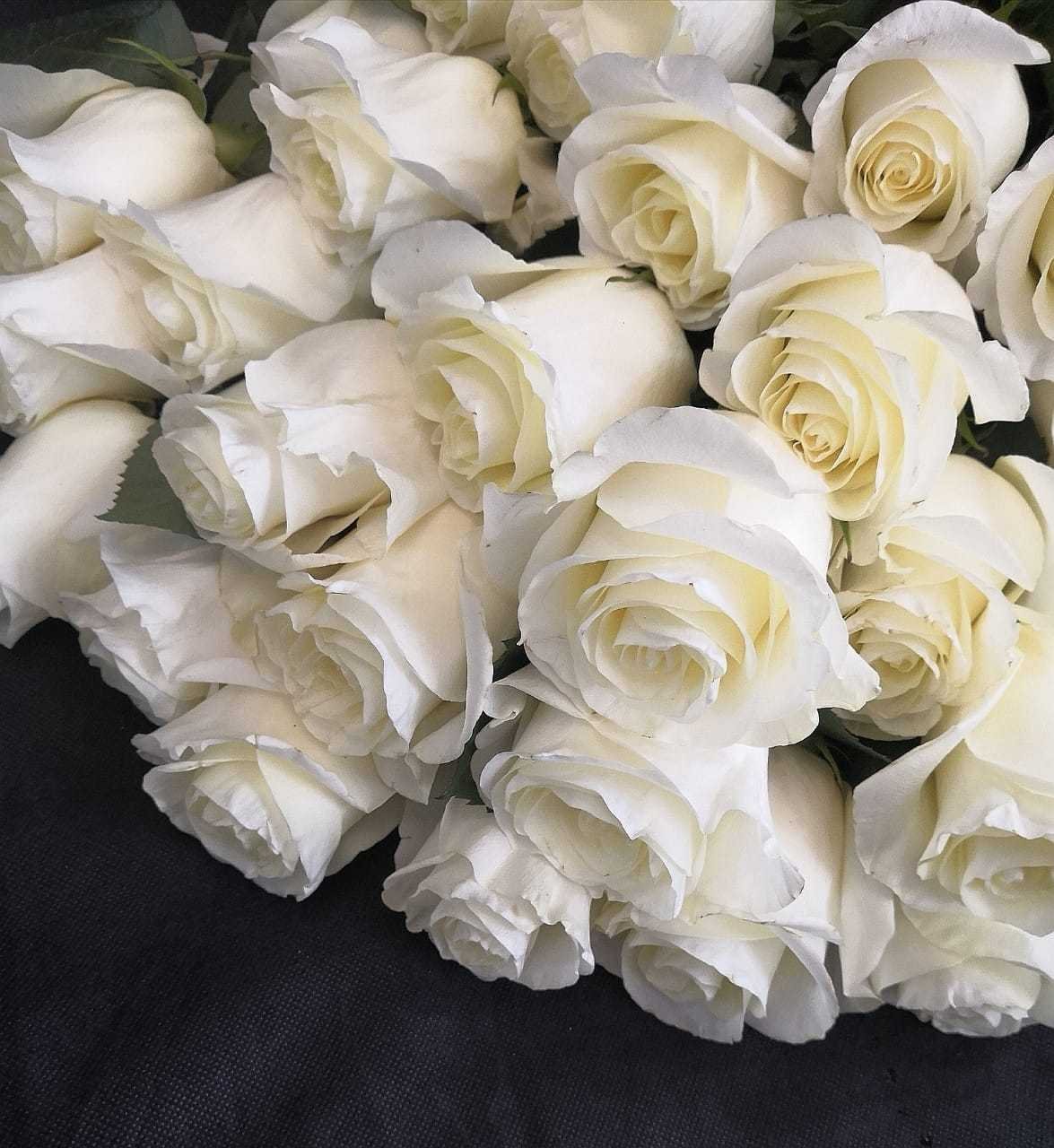Белые розы оттенки. Букет белых роз. Розы Вайт Ноблес. Садбарги Сафед.