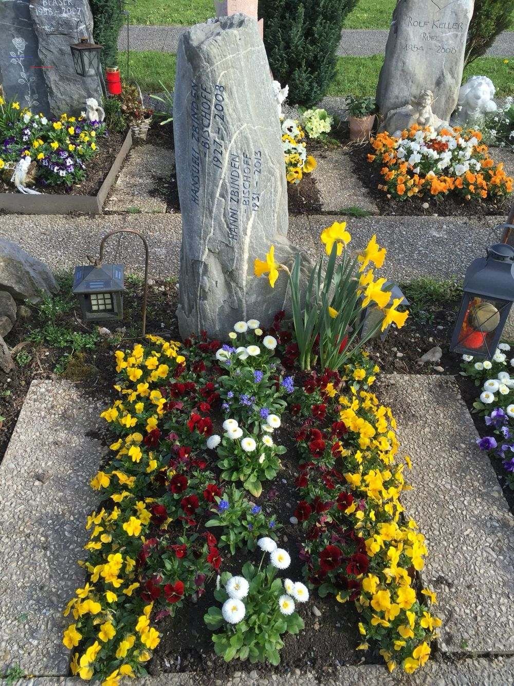 Цветы посадить на кладбище многолетние с фото