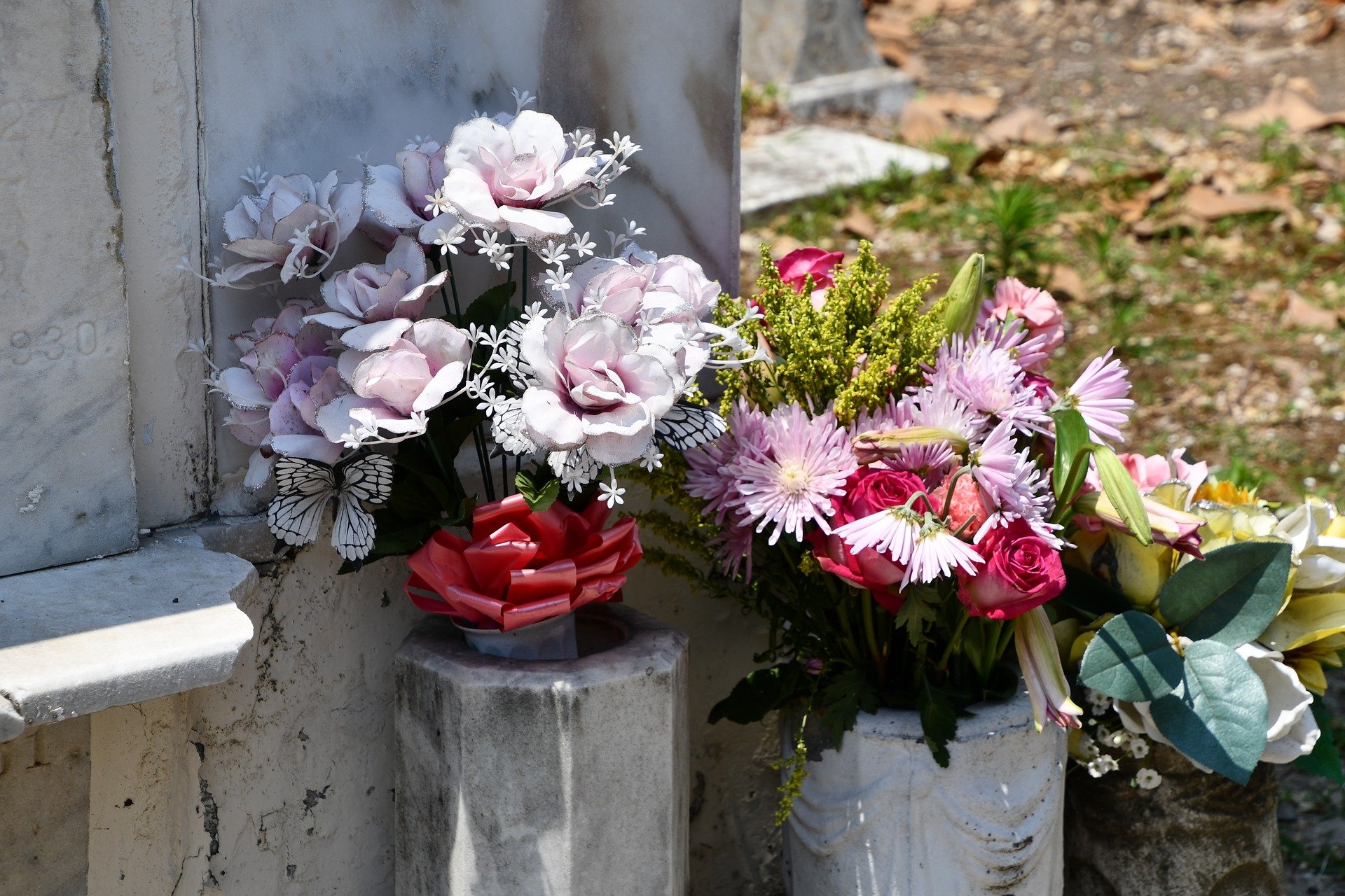 Пионы Кладбищенские цветы