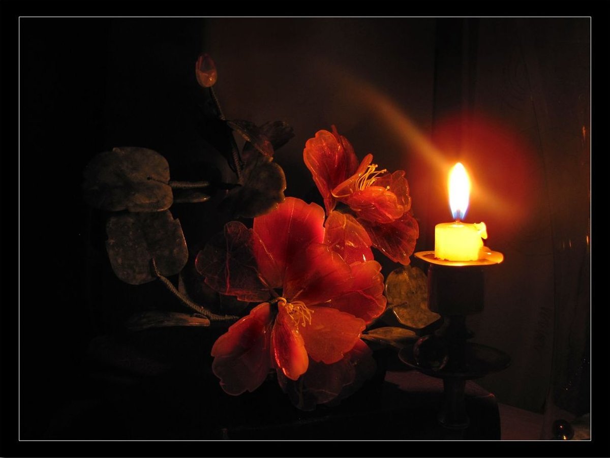 Скорбим фото со свечой крокус сити. Свеча памяти и цветы. Поминальная свеча и цветы. Светлая память цветы. Свеча скорби.