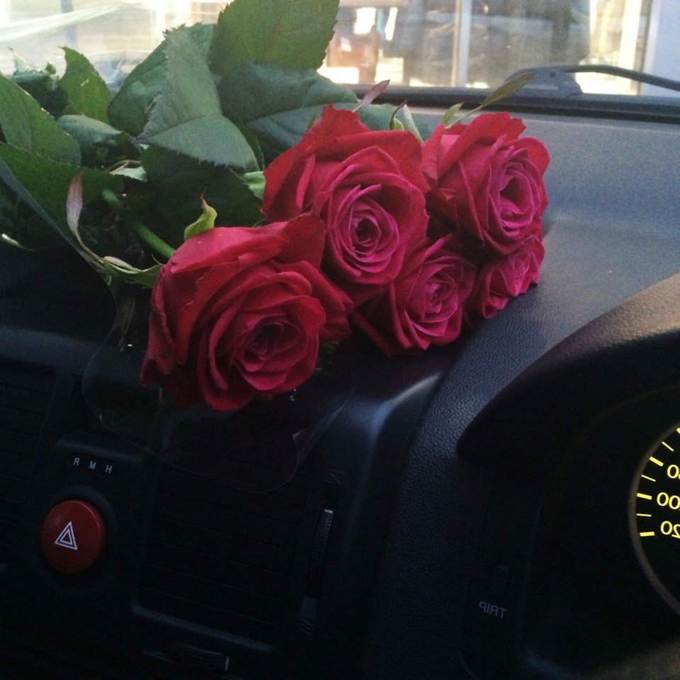 Цветы в машине вечером (40 фото)