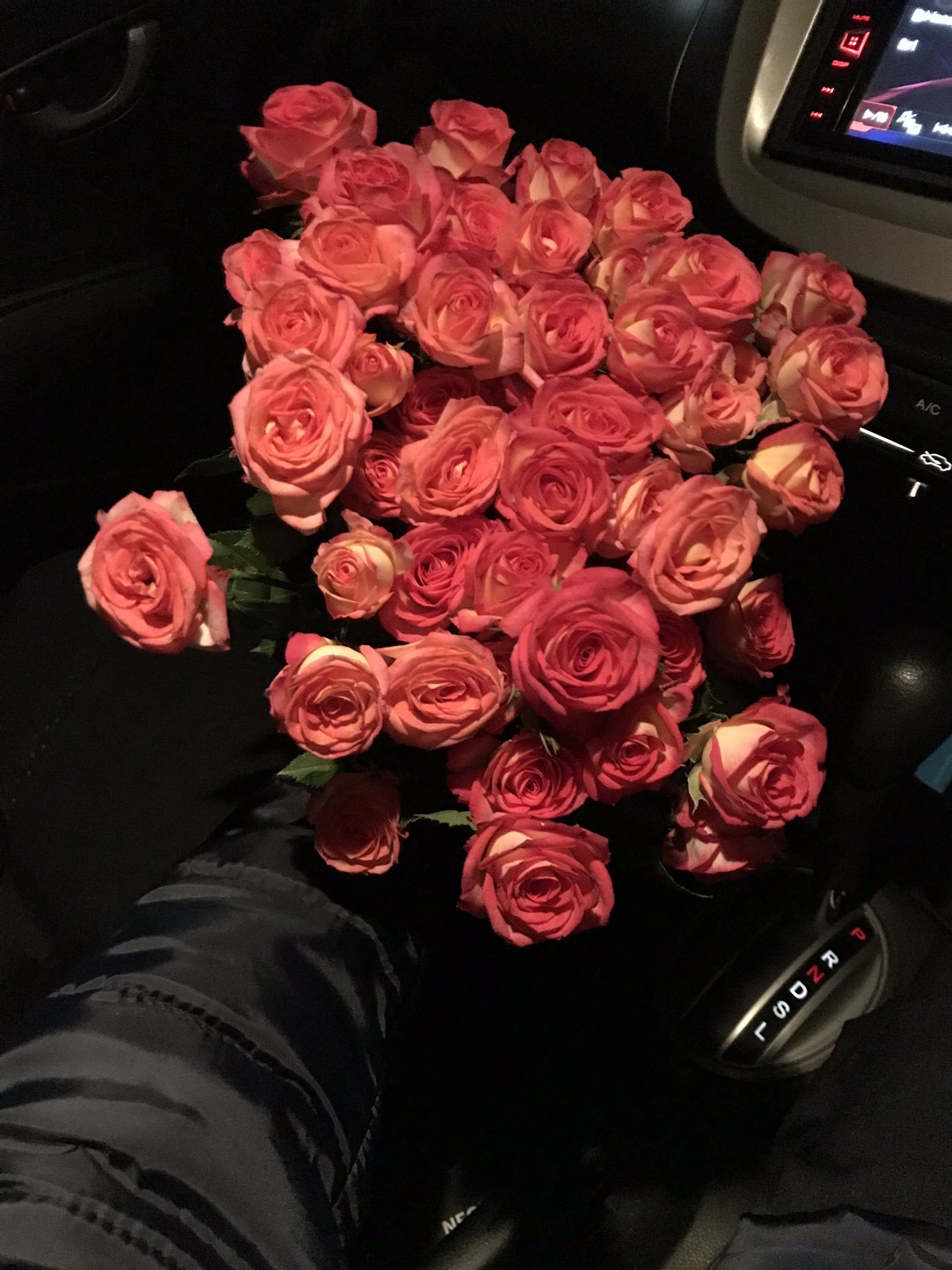 Розы В Машине Фото