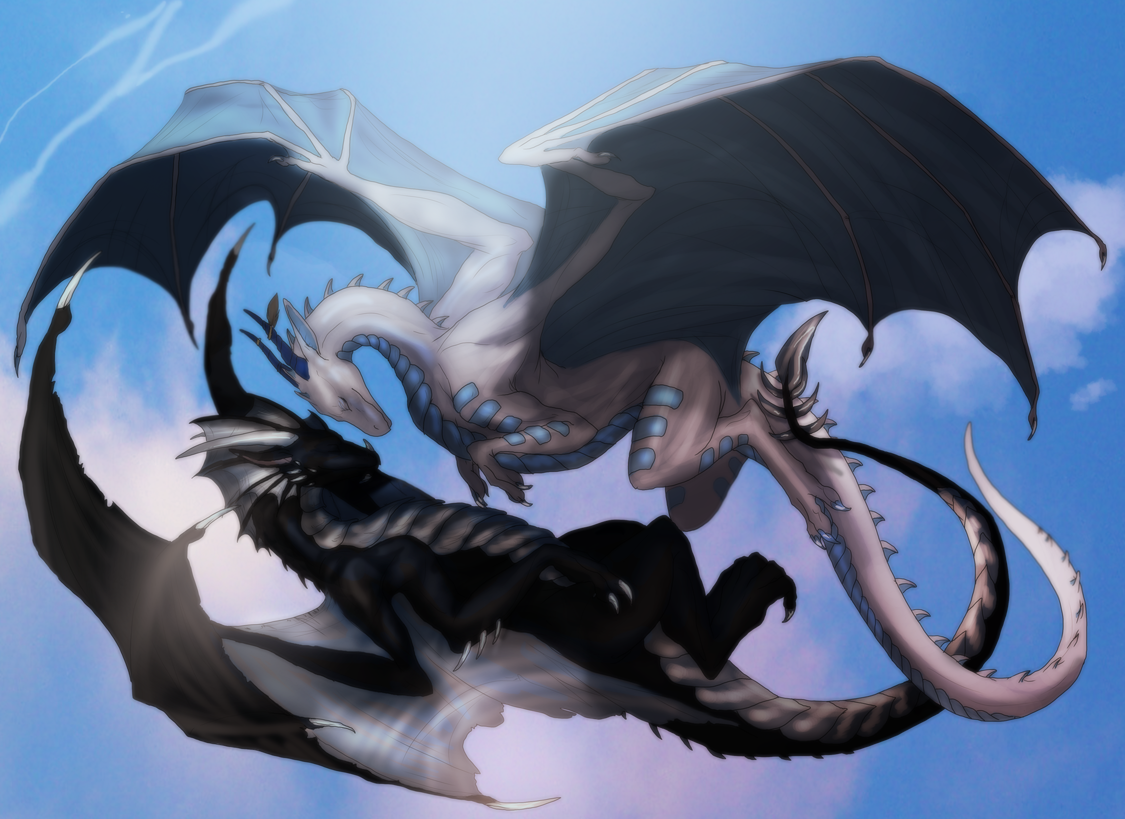Bi dragon. Дракон Геншин. Белый дракон. Черный дракон. Влюбленные драконы.