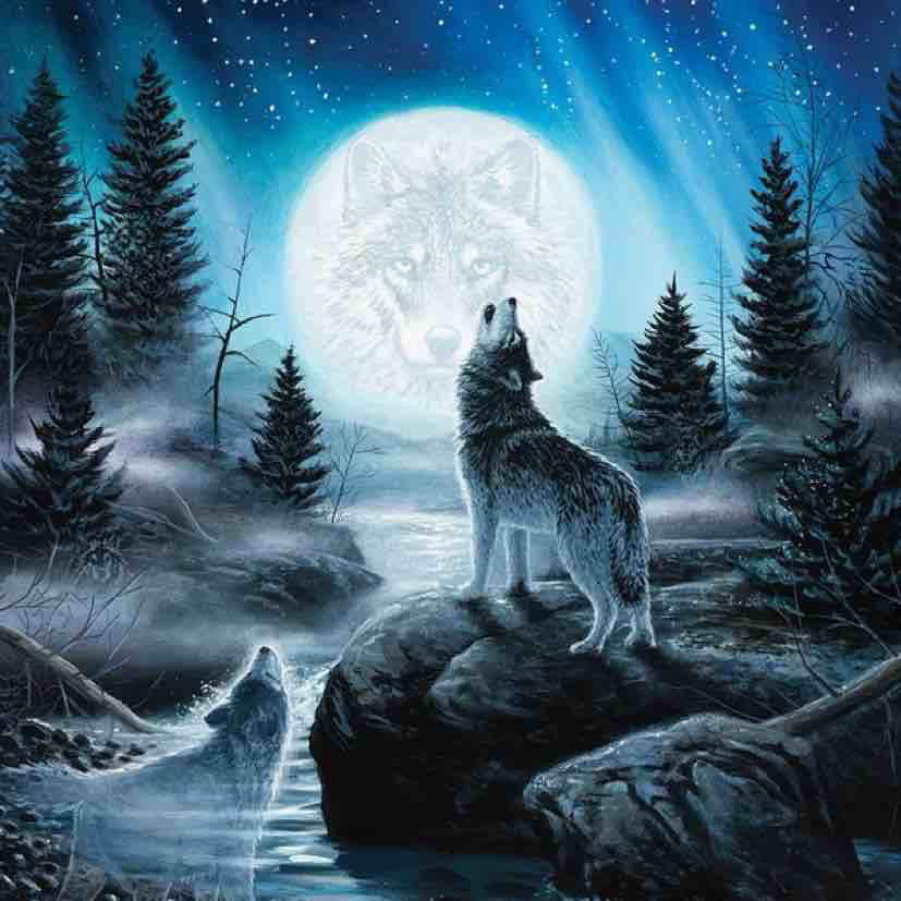 Мистические волки. Волк и Луна. Волк фэнтези. Самый красивый волк. Я вою я пою